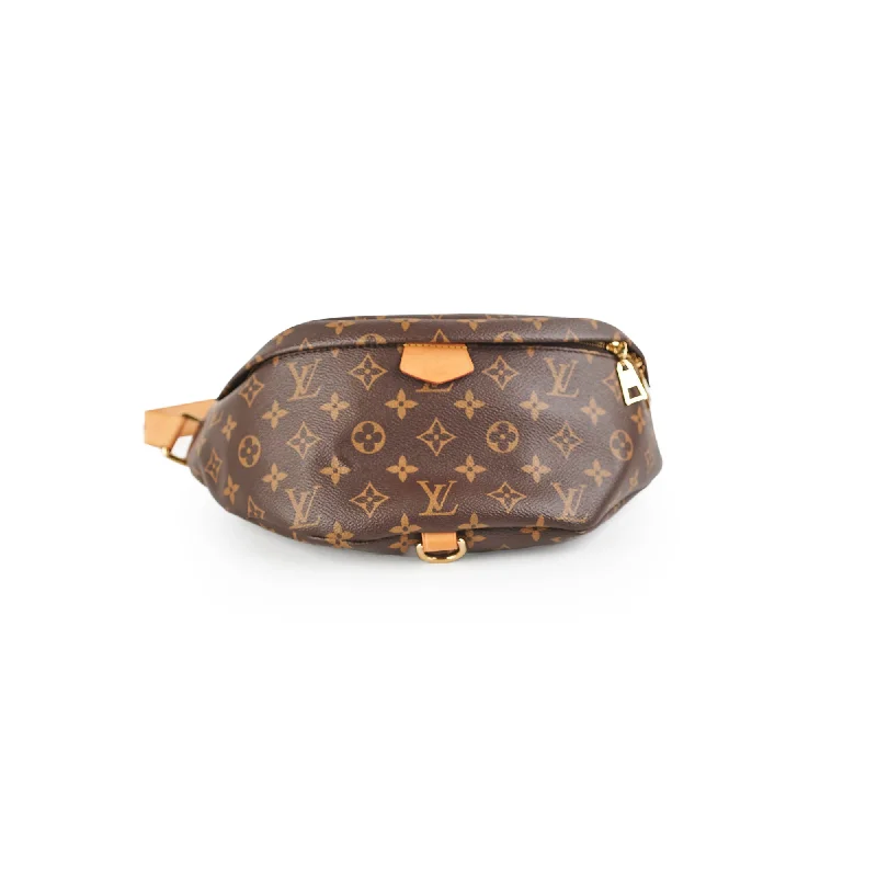 Louis Vuitton Bumbag Monogram