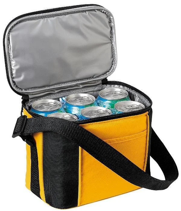 6-Pack Water Resistant Cooler Lunch Bag (CLOSEOUT)